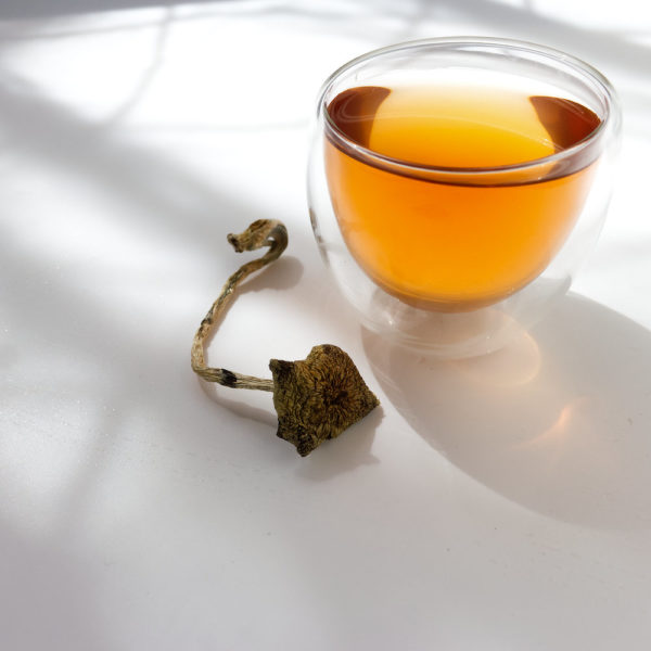 Honeymush Social Dose High Tea